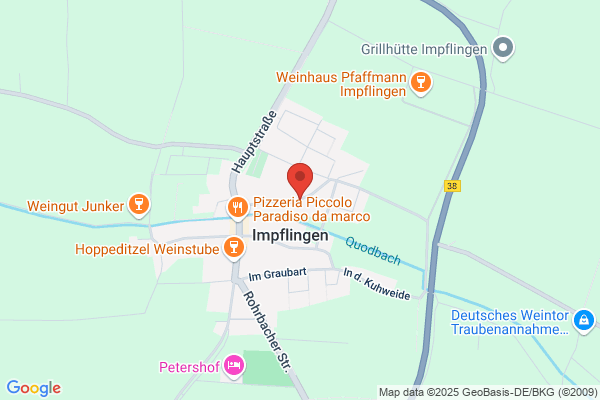 Pfalzer