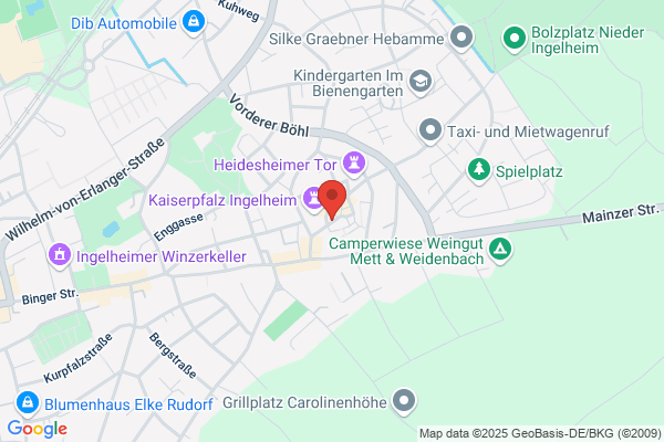 Altstadt Fahrschule Ingelheim