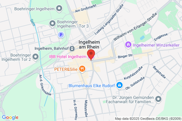 Ibba GmbH