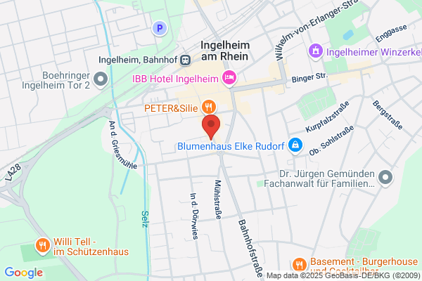 Mrs.Sporty Club Ingelheim