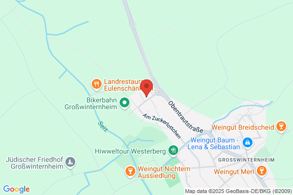 BSN Baudekoration GmbH