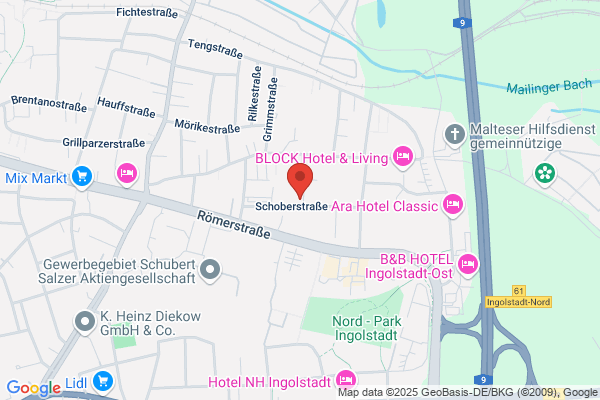 LithoScript GmbH
