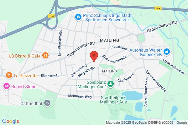 N-TP UG (haftungsbeschränkt)