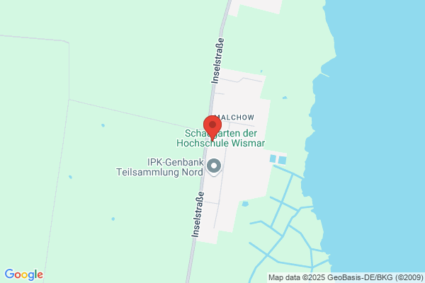 Hochschule Wismar Fachhochschule f.Technik, Wirtschaft und Gestaltung