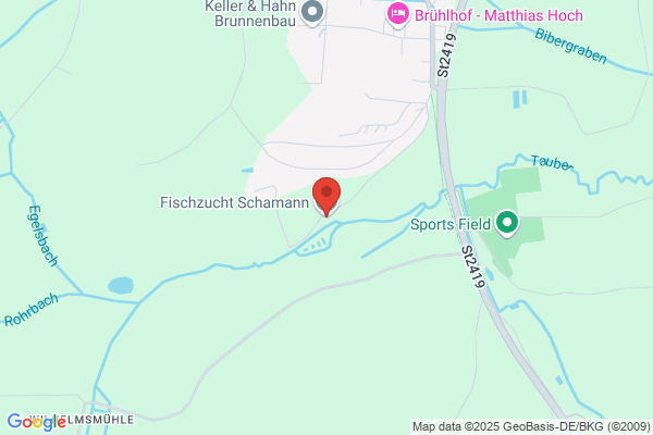 Schamann