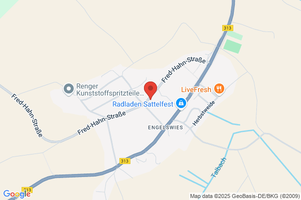 DE-IGNIS-WWV gGmbH