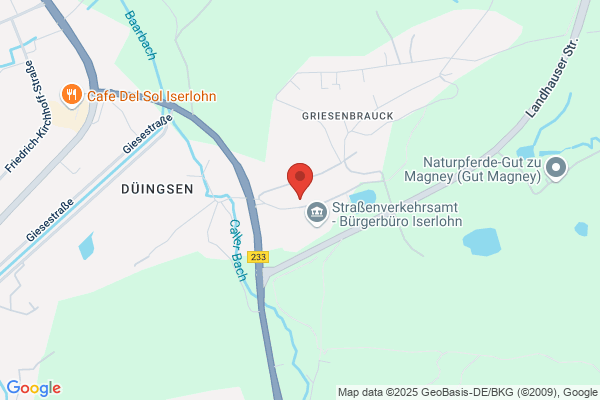 Autoschilder & Zulassungen Buffalo Iserlohn