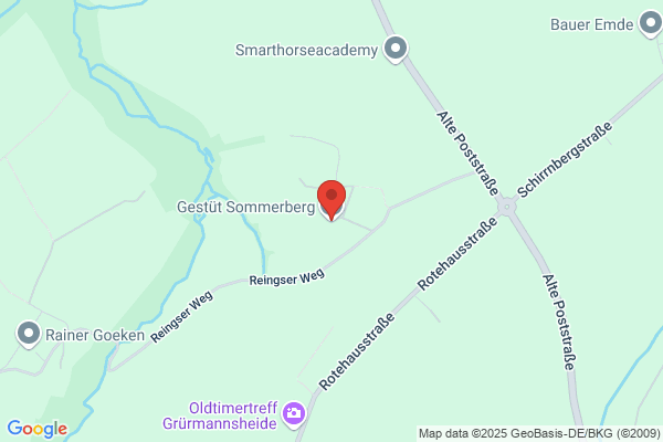 Bachtenkirch Herm.