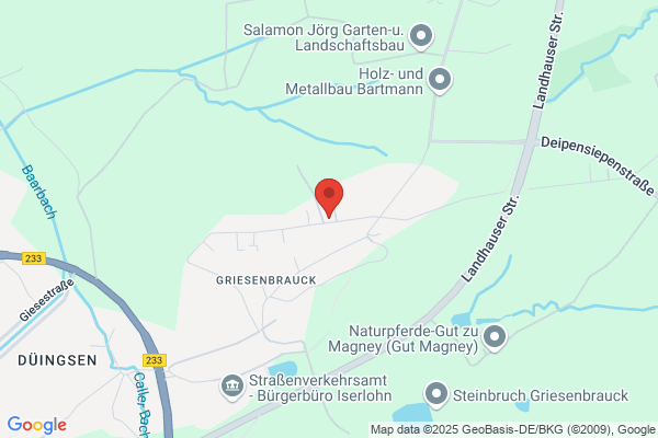 Westerbarkey Ulrich Barbara, Übersetzungen Spanisch, staatl. gepr.