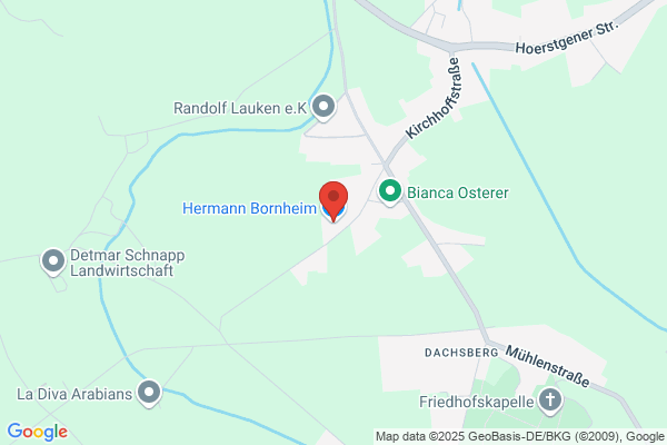 Bornheim, Hermann