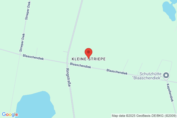 Frauke Schütte