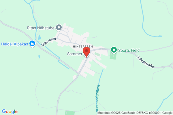 Siegfried Sommer