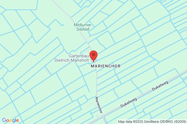 Dietrich Mansholt