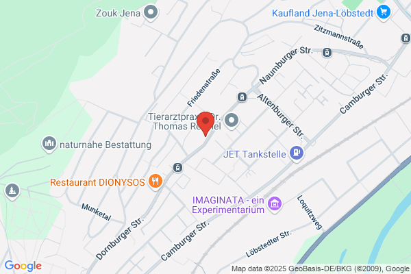 Wunder Ergotherapie Ergo-Fitnest