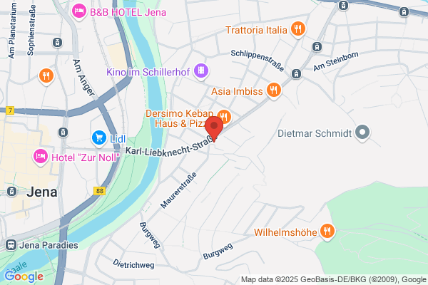 Der Turmfalke