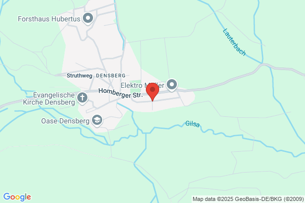 Kurierdienst Löwe