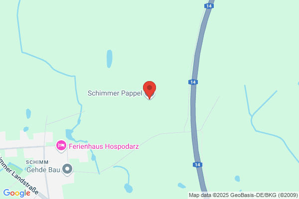 Schimmer