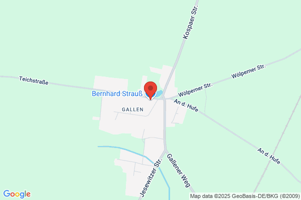 Bernhard Strauß
