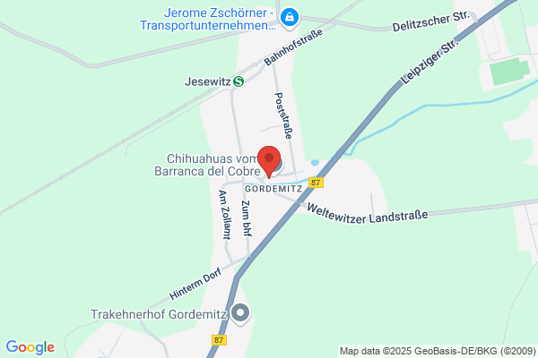 Die Agentur