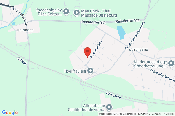 Rüdiger Schifferens