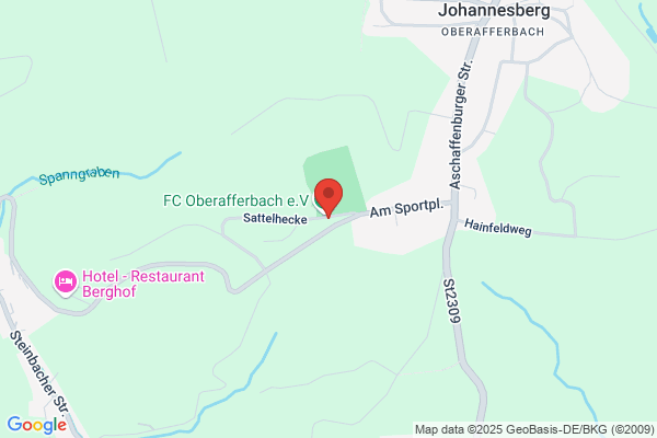 Agentur Siegfanz