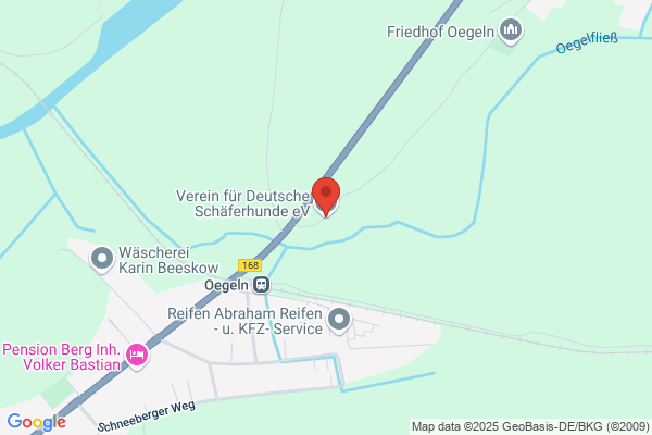 Verein für Deutsche Schäferhunde