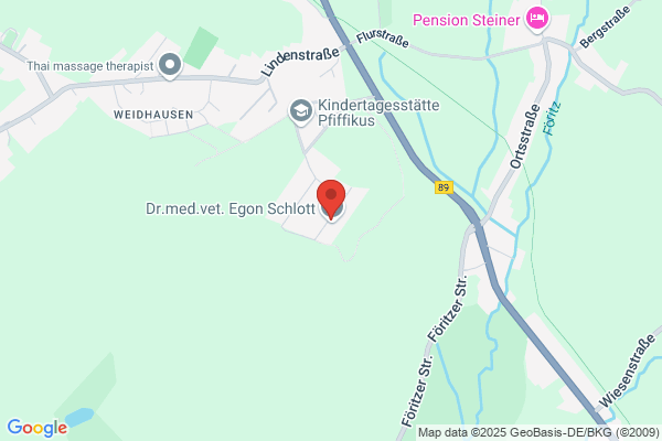 Föritztaler Drehorgel