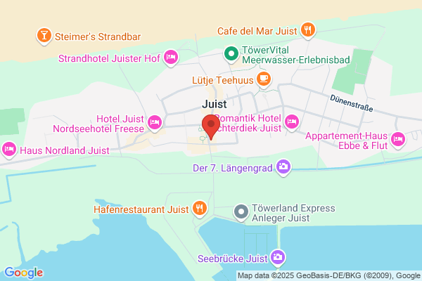 Juister Auster