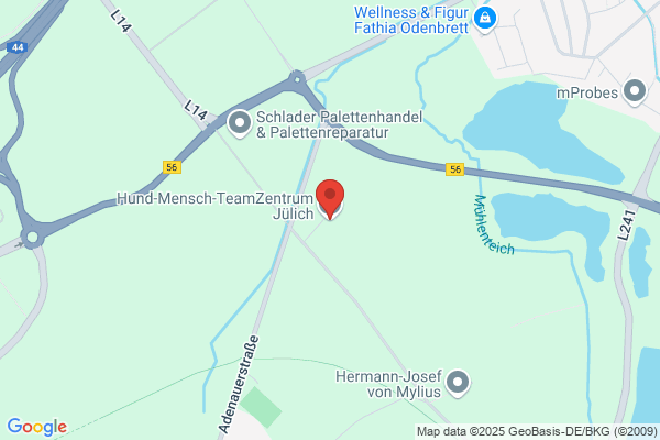 Hund-Mensch-TeamZentrum