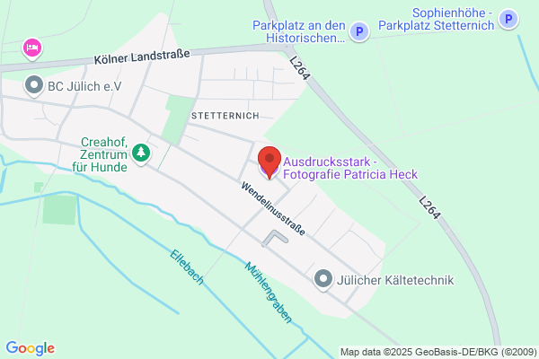 Fotofachgeschäft Hammel