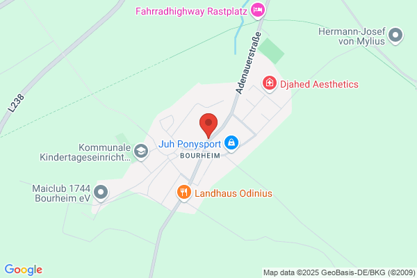 Restaurant Bourheimer Stuben