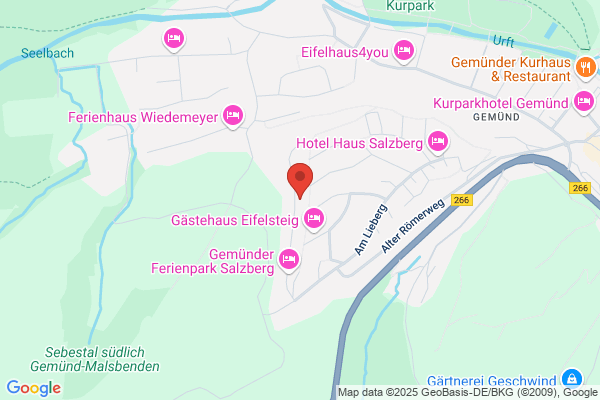 Alinbu Webentwicklung