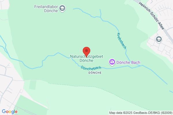 Schöpff