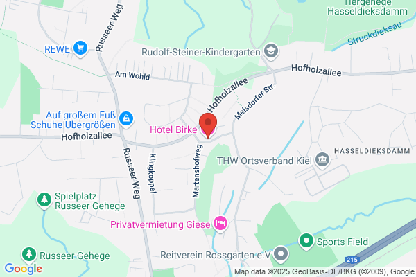 Hotel Birke
