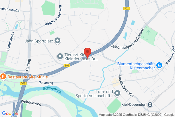 Thomas Böder