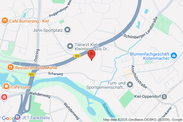 BLUME2000 im Famila Kiel-Dietrichsdorf