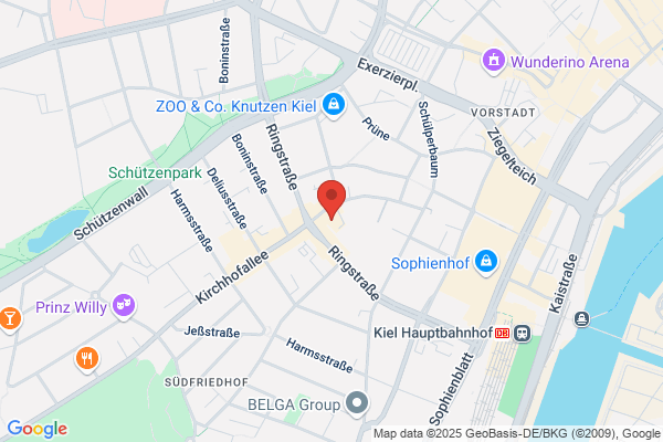 A. Fitza, H. Liebe, S. Flechsig