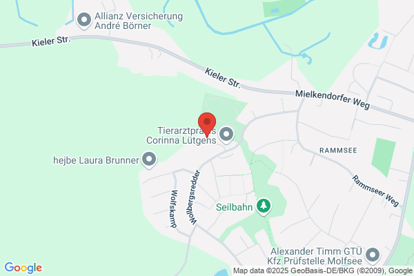 Oesinghaus Volker Unternehmensentwicklung