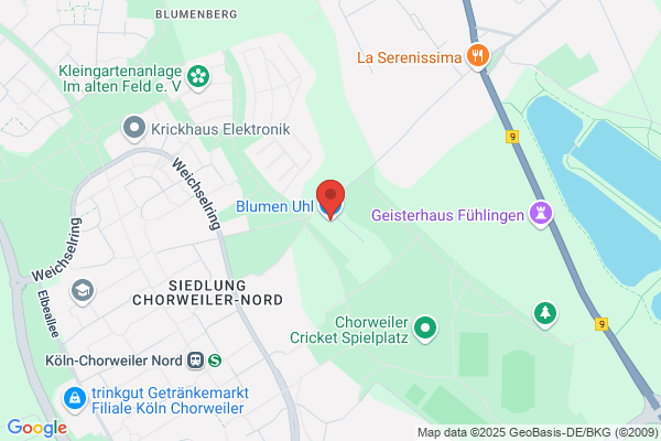 Blumen Uhl