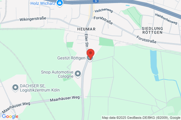 Gerd Mehl