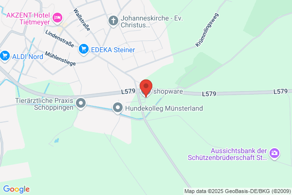 Shopware-Entwickler | Shopware Theme Design & Development Company