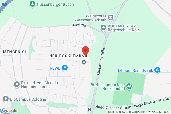 Kölsch Elektro