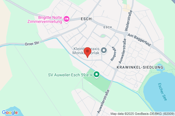 die Schnappschützen