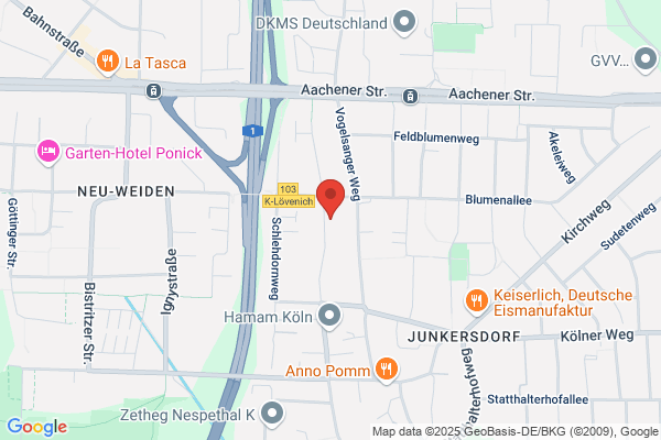 Stadtführung Köln mit Berno Hübinger - Ihr Stadtführer Köln