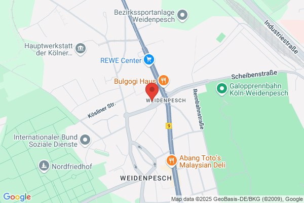 Die Fahrlehrer