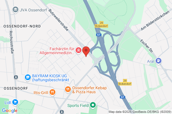 hundewegs - Dogwalker & mobile Hundebetreuung Köln