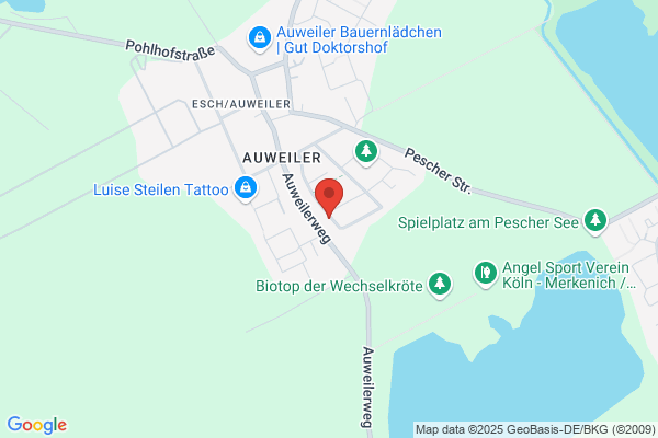 Schröder Export