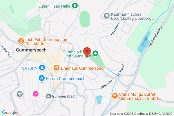 Mietgeige-Köln