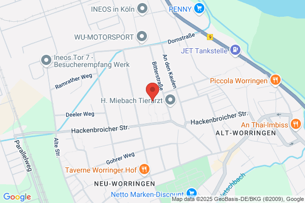 CAN-Paradies GmbH