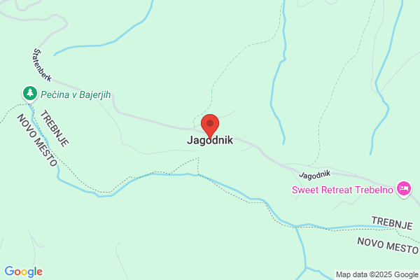 Jagodnik